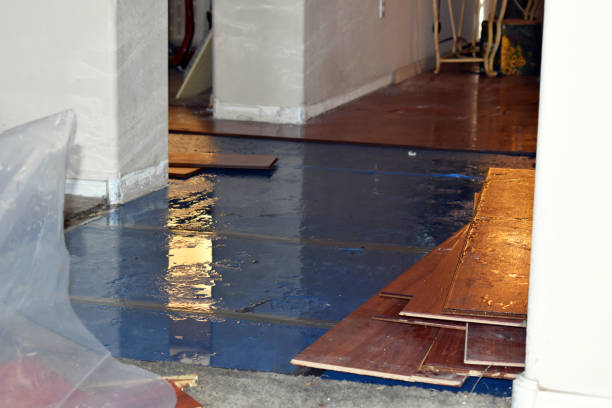 Professional Basement Flood Cleanup technician working in Elkton, MN